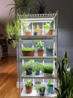 Oslo 4-Tier LED Grow Light Garden -Gardeners Sale Shop 8609220 03IN tif