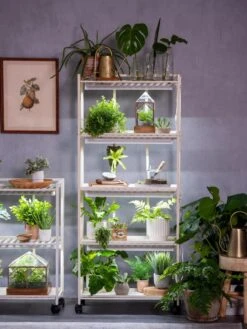 Oslo 4-Tier LED Grow Light Garden -Gardeners Sale Shop 8609220 4116 tif