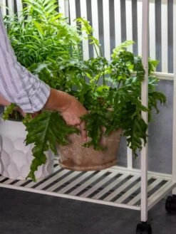 Oslo 2-Tier LED Grow Light Garden, 2 Fixtures -Gardeners Sale Shop 8609220 4122 tif