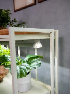 Oslo 2-Tier LED Grow Light Garden, 2 Fixtures -Gardeners Sale Shop 8609221 4101 tif