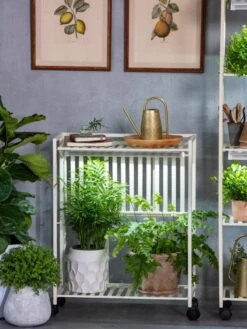 Oslo 2-Tier LED Grow Light Garden, 2 Fixtures -Gardeners Sale Shop 8609221 7236 tif