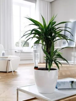 Hydro Wine Container Watering System, Set Of 4 -Gardeners Sale Shop 8609224 02V tif