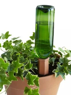 Hydro Wine Container Watering System, Set Of 4 -Gardeners Sale Shop 8609224 09V tif