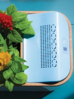 Dewplanter -Gardeners Sale Shop 8609512 Dewplanter