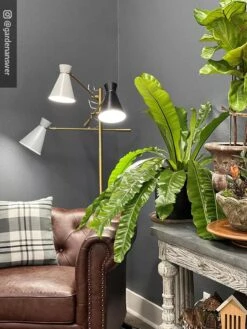 Adjustable 3-Arm Grow Lamp -Gardeners Sale Shop 8609868 01IN tif