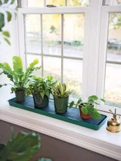 Self-Watering Windowsill Tray -Gardeners Sale Shop 8609873 9011 tif