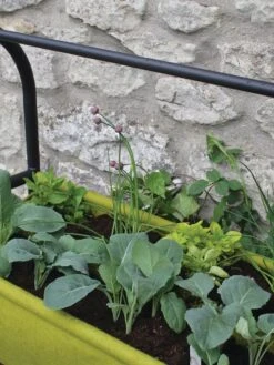 Vigoroot™ Self-Watering Easy Garden Planter -Gardeners Sale Shop 8609879 04V tif