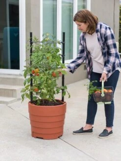 Gardener’s Victory Self-Watering Planter Garden Kit -Gardeners Sale Shop 8610239 06002 tif