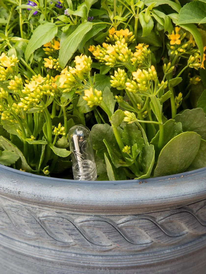 Gardeners Sale Shop -Gardeners Sale Shop 8610250 0010 tif 1