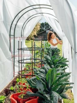 Maxi Garden Hoops With Clips -Gardeners Sale Shop 8610373 377 tif