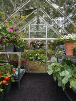 Canopia® By Palram Harmony™ Greenhouse, 6' X 14' -Gardeners Sale Shop 8610563 03V jpg