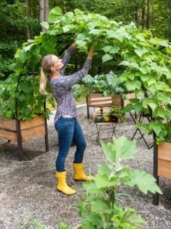 2’ X 8’ Arch Trellis For Planter Boxes -Gardeners Sale Shop 8610798 050 tif