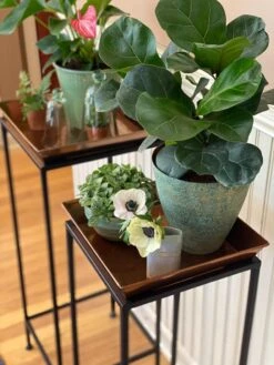 Square Nesting Plant Stands With Trays, Set Of 2 -Gardeners Sale Shop 8611014 3651 tif