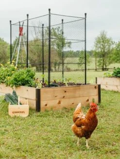 Tall Chicken Wire Critter Fence With Gate -Gardeners Sale Shop 8611020 316 tif