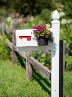 Mailbox Planter -Gardeners Sale Shop 8611026 014 tif