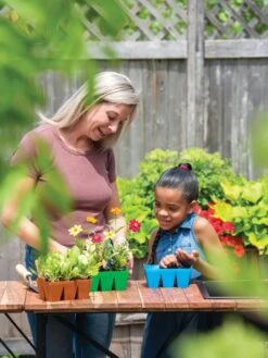 Sili-Seedlings® Seedling Tray, 6-Cell