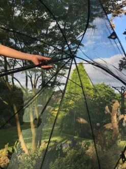 GardenSkill Pop N Crop Plant Umbrella 12 GardenSkill Pop N Crop Plant Umbrella -Gardeners Sale Shop 8611105 09V tif