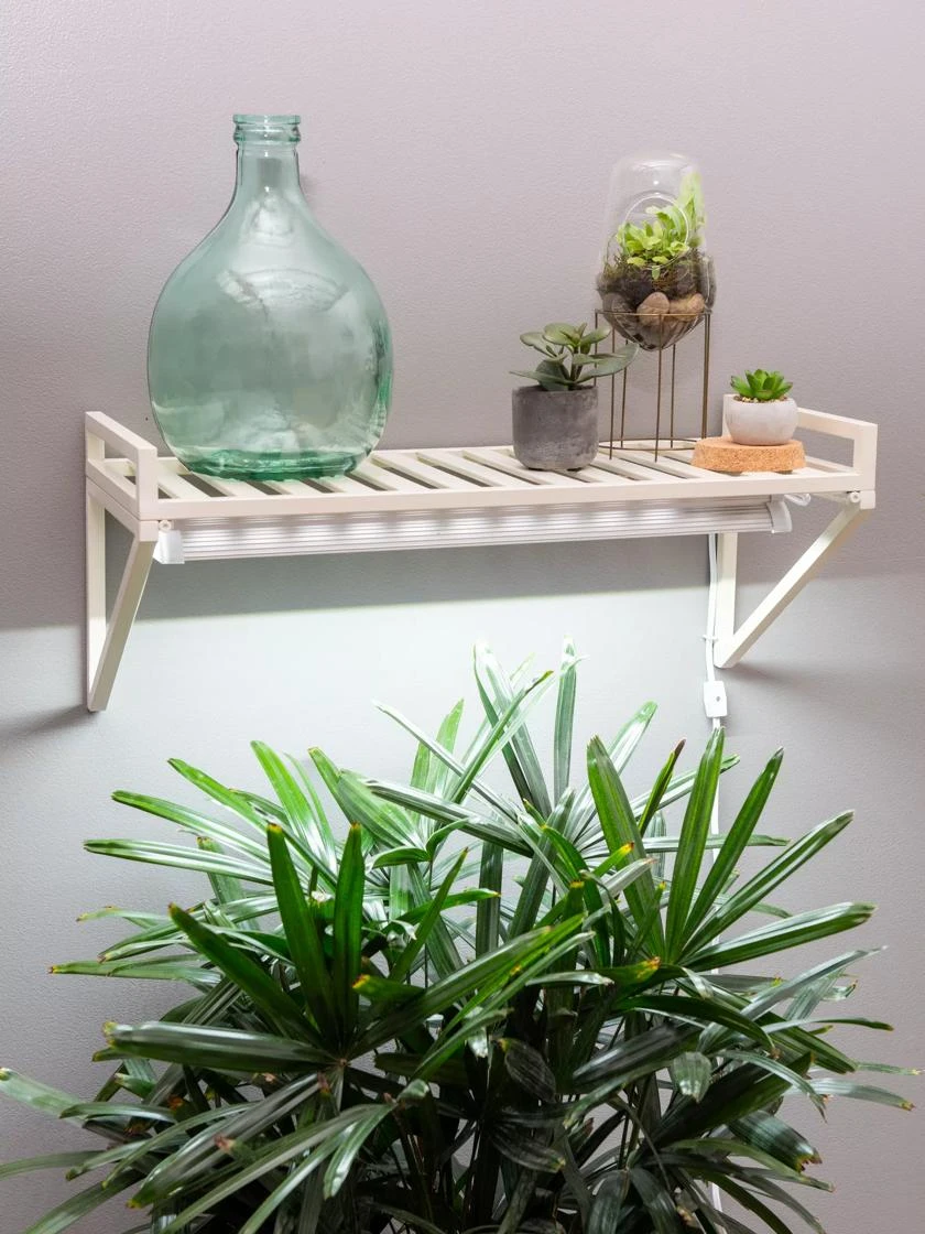 Oslo LED Grow Light Wall Shelf 1 Oslo LED Grow Light Wall Shelf