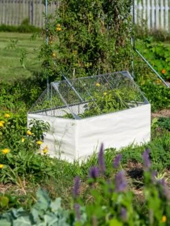 Crop Coop Covers Set -Gardeners Sale Shop 8611698 005 tif