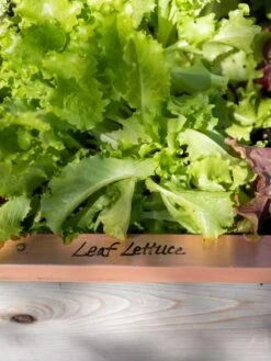 Re-Markable Raised Bed Trim -Gardeners Sale Shop 8611757 326 tif