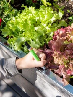 Re-Markable Raised Bed Trim -Gardeners Sale Shop 8611758 301 tif