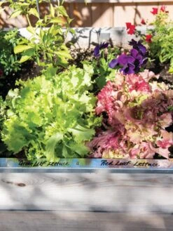 Re-Markable Raised Bed Trim -Gardeners Sale Shop 8611758 306 tif