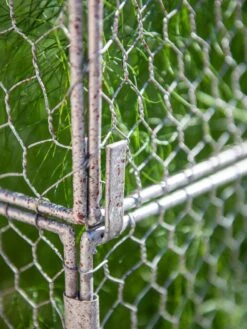 Chicken Wire Crop Coop Extension -Gardeners Sale Shop 8611940 232 tif