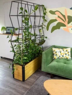 Self-Watering Partition Planter -Gardeners Sale Shop 8611952 001 tif