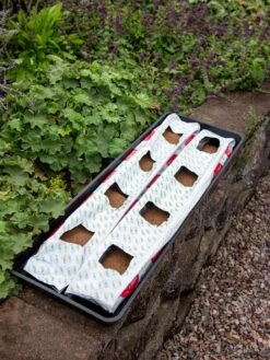 Berry Blend Coir Grow Bag, Set Of 2 6 Berry Blend Coir Grow Bag, Set Of 2 -Gardeners Sale Shop 8611968 361 tif