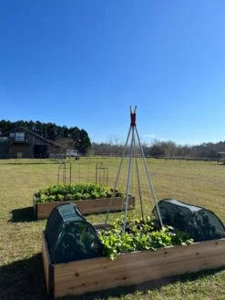 Insect And Pest Net Row Protector -Gardeners Sale Shop 8611985 04 tif