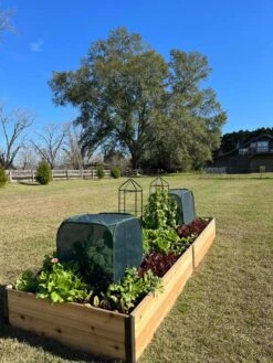 Pest Control Pop-Ups -Gardeners Sale Shop 8611989 08 tif