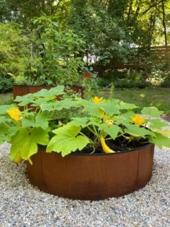Birdies™ Corten Steel Round Raised Beds 9 Birdies™ Corten Steel Round Raised Beds -Gardeners Sale Shop 8612422 0484 tif