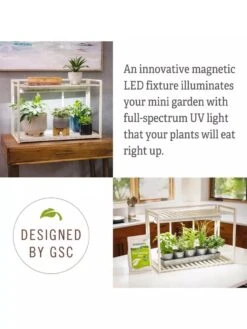 Tabletop Grow Kit -Gardeners Sale Shop 8612507 4