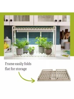 Tabletop Grow Kit -Gardeners Sale Shop 8612507 5