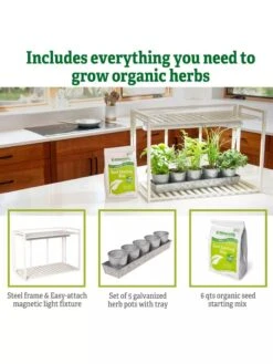 Tabletop Grow Kit -Gardeners Sale Shop 8612507 6