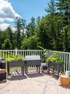 Self-Watering Standing Salad Planter With Cloche -Gardeners Sale Shop 8612702 2002 tif