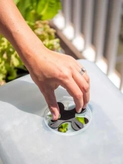 Self-Watering Standing Salad Planter With Cloche -Gardeners Sale Shop 8612702 2034 tif