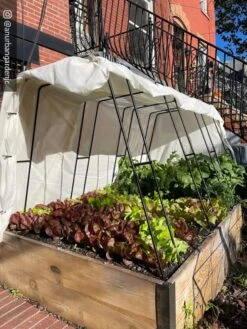 Cotton All Purpose Garden Cover -Gardeners Sale Shop 8612816 01CUST