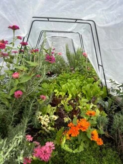 Zenith Garden Hoops, Set Of 4 -Gardeners Sale Shop 8612816 01TEST 1