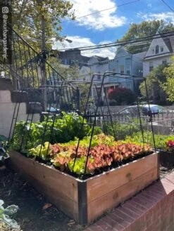 Zenith Garden Hoops, Set Of 4 -Gardeners Sale Shop 8612816 02CUST