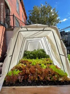 Cotton All Purpose Garden Cover -Gardeners Sale Shop 8612816 03CUST