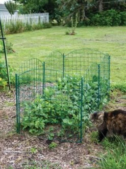 6 Panel Critter Fence With Gate -Gardeners Sale Shop 8612967 2570 tif