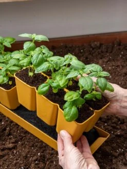 Gardener's Best® XL 6-Cell Planting Tray, Set Of 4 -Gardeners Sale Shop 8613031 6300