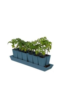 Gardener's Best® XL Seed Starting Kit -Gardeners Sale Shop 8613066 0029