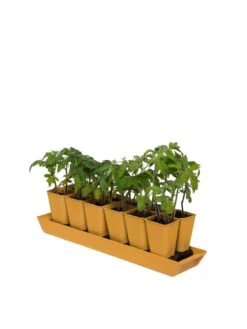 Gardener's Best® XL Seed Starting Kit -Gardeners Sale Shop 8613066 1029