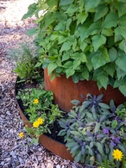 Birdies™ Corten Steel Tiered Round Raised Bed Kit, Tall -Gardeners Sale Shop 8613245 0195