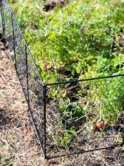 Chicken Wire Critter Fence, 16" High -Gardeners Sale Shop 8613249 0309
