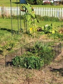 Chicken Wire Critter Fence, 16" High -Gardeners Sale Shop 8613249 0329