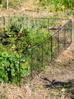 Chicken Wire Critter Fence, 16" High -Gardeners Sale Shop 8613249 0336