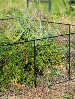 Chicken Wire Critter Fence, 16" High -Gardeners Sale Shop 8613249 0352
